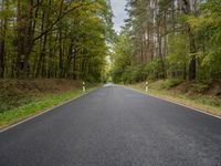 an empty road is shown in the middle of the woods with tall trees lining the path