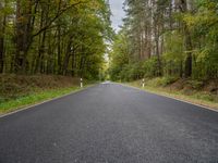 an empty road is shown in the middle of the woods with tall trees lining the path