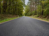 an empty road is shown in the middle of the woods with tall trees lining the path