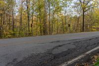 an empty road leading into the woods in the fall with yellow leaves surrounding it and yellow lining the pavement