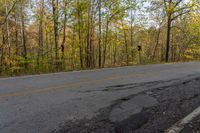 an empty road leading into the woods in the fall with yellow leaves surrounding it and yellow lining the pavement