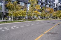 Autumn Road in Ontario: Tree-lined with Yellow Leaves