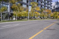 Autumn Road in Ontario: Tree-lined with Yellow Leaves