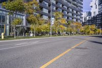 Autumn Road in Ontario: Tree-lined with Yellow Leaves