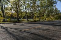 Autumn Road in a Residential Area of Ontario, Canada