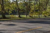 Autumn Road in a Residential Area of Ontario, Canada