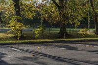 Autumn road in Toronto, Ontario, Canada