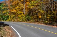 a curved roadway through an autumn forest of trees, yellow and red leaves in the foreground