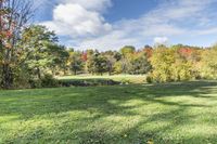 Autumn Scenic Landscape in Toronto, Ontario