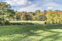 Autumn Scenic Landscape in Toronto, Ontario