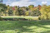 Autumn Scenic Landscape in Toronto, Ontario