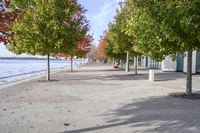 a sidewalk with trees in autumn on the shore line and people sitting at tables along the river