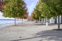 a sidewalk with trees in autumn on the shore line and people sitting at tables along the river