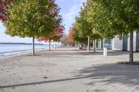 a sidewalk with trees in autumn on the shore line and people sitting at tables along the river