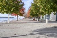 a sidewalk with trees in autumn on the shore line and people sitting at tables along the river