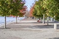 a sidewalk with trees in autumn on the shore line and people sitting at tables along the river