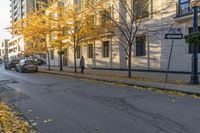 a street with autumn leaves all around, next to buildings and trees with yellow leaves on it