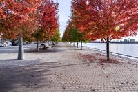 Autumn in Toronto, Canada: A Road Surrounded by Nature