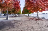 Autumn in Toronto, Canada: A Road Surrounded by Nature