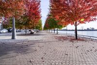 Autumn in Toronto, Canada: A Road Surrounded by Nature