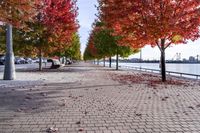 Autumn in Toronto, Canada: A Road Surrounded by Nature