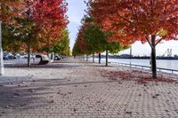 Autumn in Toronto, Canada: A Road Surrounded by Nature