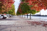 Autumn in Toronto, Canada: A Road Surrounded by Nature