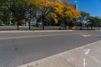 a street with many trees in autumn and a curb with a few leaves on it