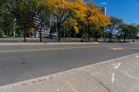 a street with many trees in autumn and a curb with a few leaves on it