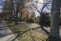 trees and leaves line the road as people walk down it by some benches in autumn