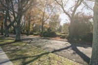 trees and leaves line the road as people walk down it by some benches in autumn