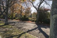 trees and leaves line the road as people walk down it by some benches in autumn