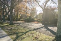 trees and leaves line the road as people walk down it by some benches in autumn