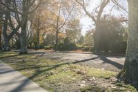 trees and leaves line the road as people walk down it by some benches in autumn