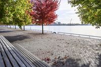 a walkway with wooden bench on it with leaves all over the walkway near the water