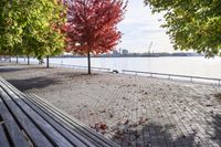 a walkway with wooden bench on it with leaves all over the walkway near the water