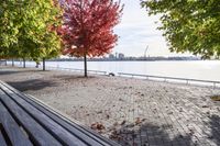 a walkway with wooden bench on it with leaves all over the walkway near the water