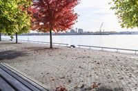 a walkway with wooden bench on it with leaves all over the walkway near the water