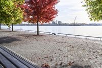 a walkway with wooden bench on it with leaves all over the walkway near the water