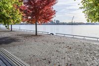 a walkway with wooden bench on it with leaves all over the walkway near the water