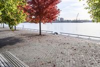 a walkway with wooden bench on it with leaves all over the walkway near the water