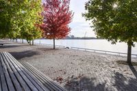 a walkway with wooden bench on it with leaves all over the walkway near the water