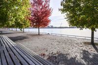 a walkway with wooden bench on it with leaves all over the walkway near the water