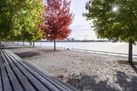 a walkway with wooden bench on it with leaves all over the walkway near the water