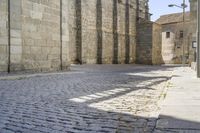 a street view of a cobblestone road in front of large, stone buildings