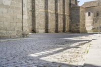 a street view of a cobblestone road in front of large, stone buildings