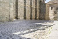 a street view of a cobblestone road in front of large, stone buildings