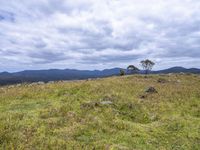 Bald Hills, Australia: A Gloomy Landscape