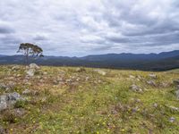 Bald Hills, Australia: Overlooking a Gloomy Landscape