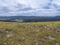 Bald Hills Landscape: Gloom in Rural Australia